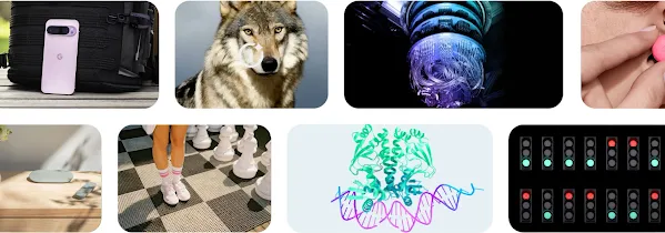 A collage of several photos, including a wolf, a person standing on top of a giant chess board, and various Pixel devices.